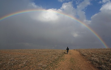 Вопрошаем мы ангелов всех
