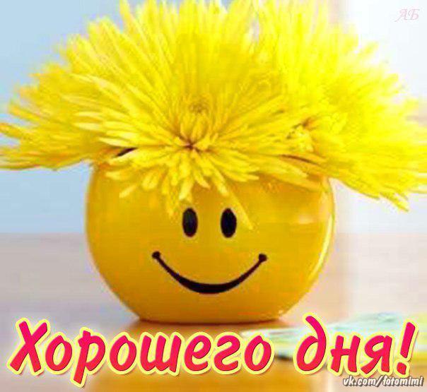 утренний позитив (Роман Дурыничев) / Стихи.ру