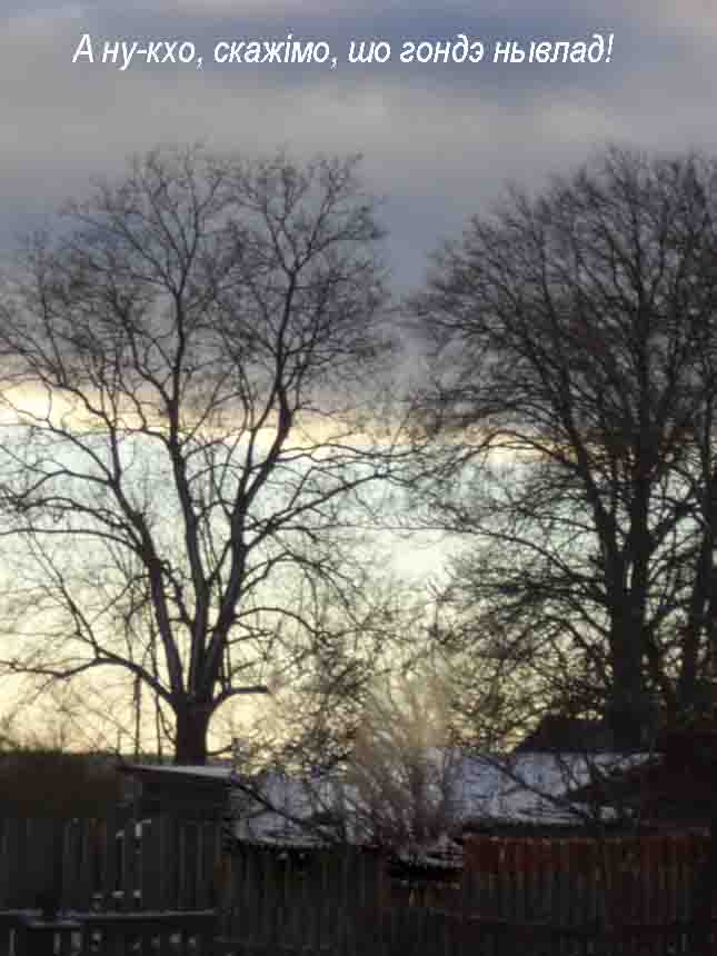 Долой винный погреб!