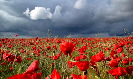 Пусть заблудимся с тобою...