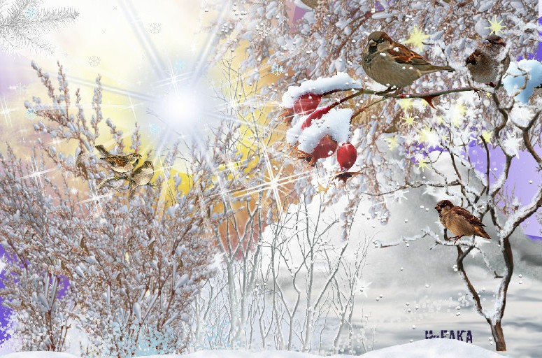 городской романс