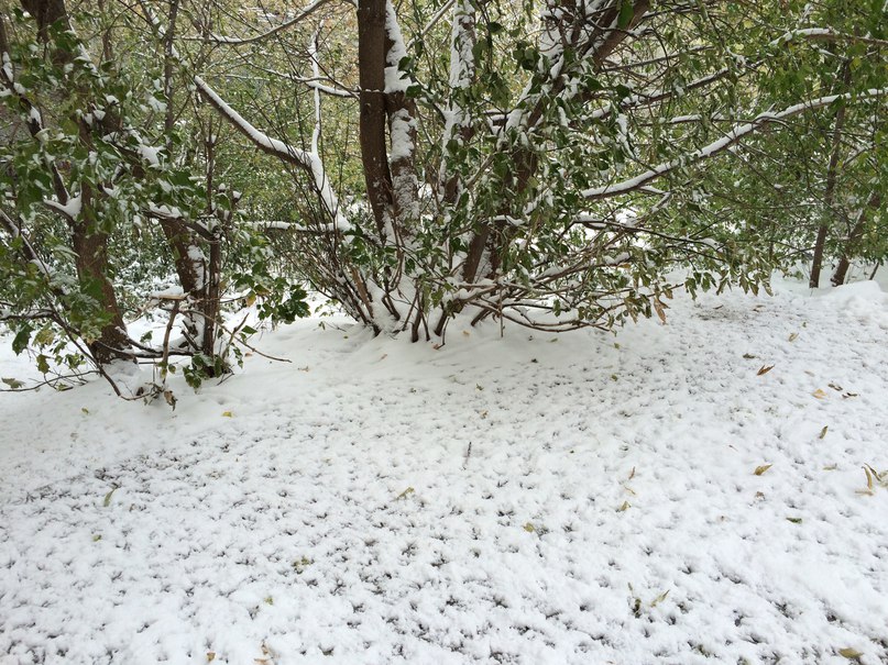 Таится вечное начало новой жизни