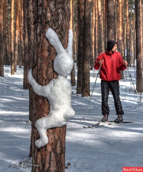 Конкурс - Зайца не видали?..