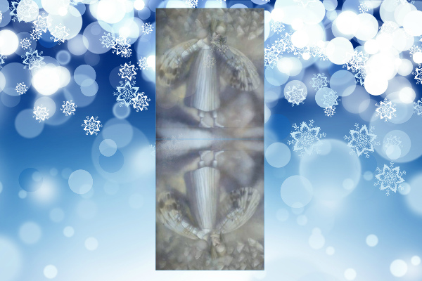 Душа снежинка