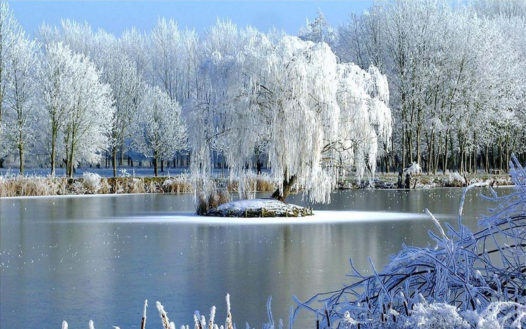 Хрустальная зима природа
