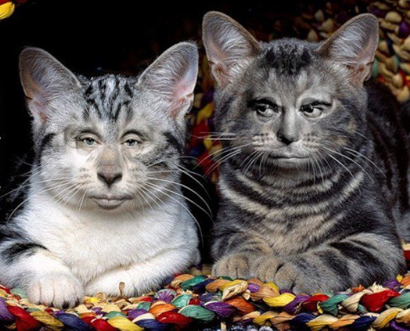 В той жизни был поэтом я