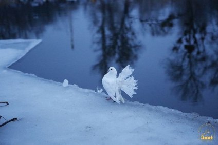 На Иордани