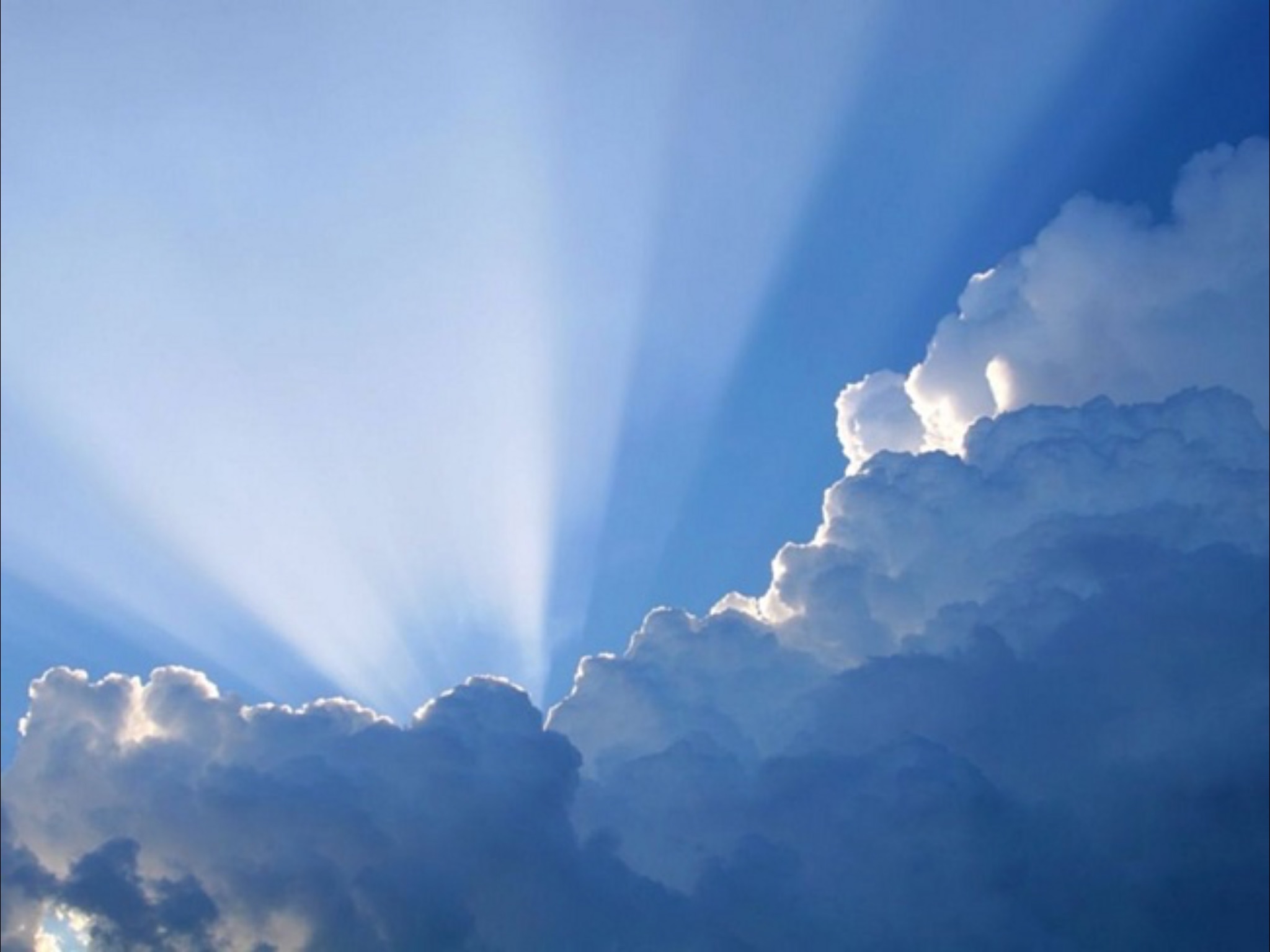 Вера твоя, да спасет тебя!