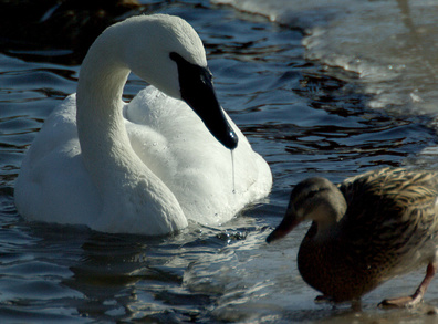 Как же хороша любовь 20012016