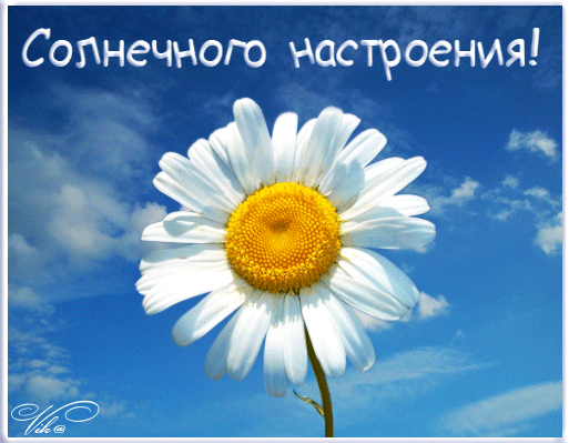 Алле свет Михайловне!