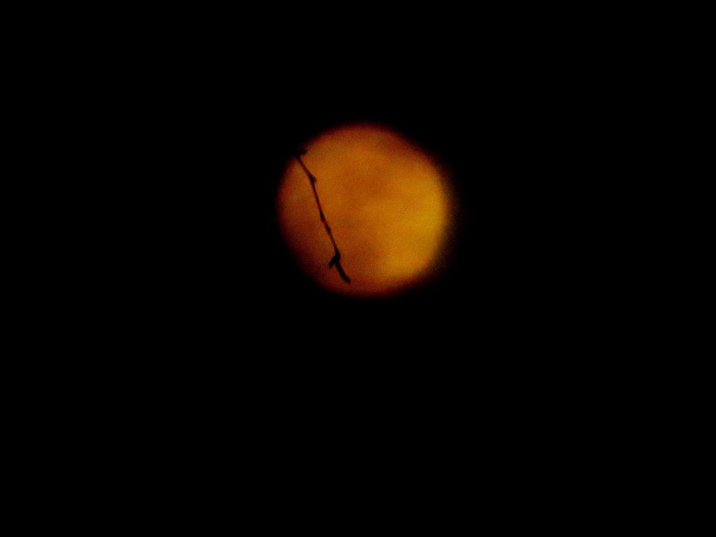 Почему сегодня луна оранжевая. Оранжевая Луна. Апельсиновая Луна. Растущая оранжевая Луна. Полумесяц оранжевого цвета.