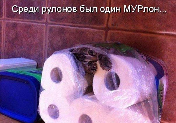 Среди рулонов был один Мурлон...