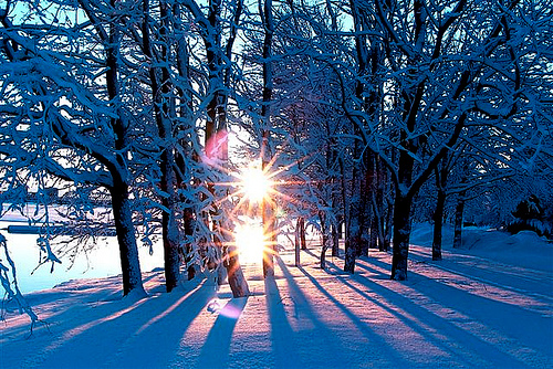 Холодное солнце январского дня