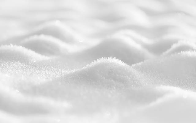 Останься белым