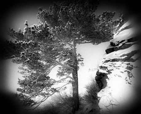 Остынет сердце, догорят желанья...