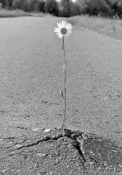 Но счастливо