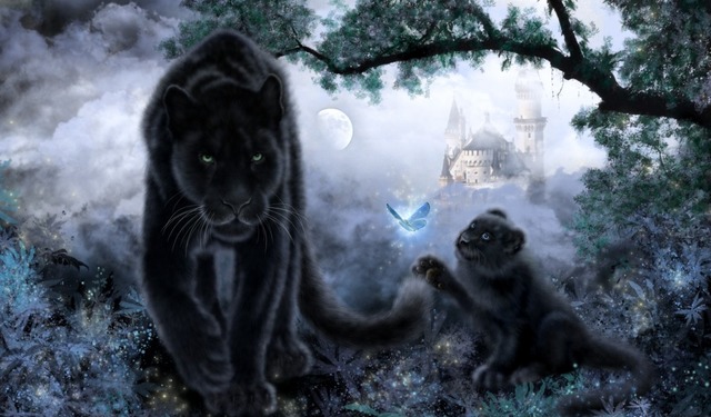 Параноидный Цирк