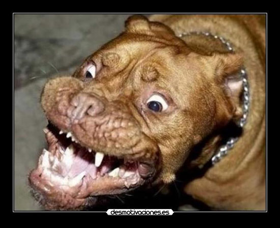 Страшнее истории не бывает