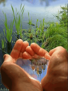 Царь природы