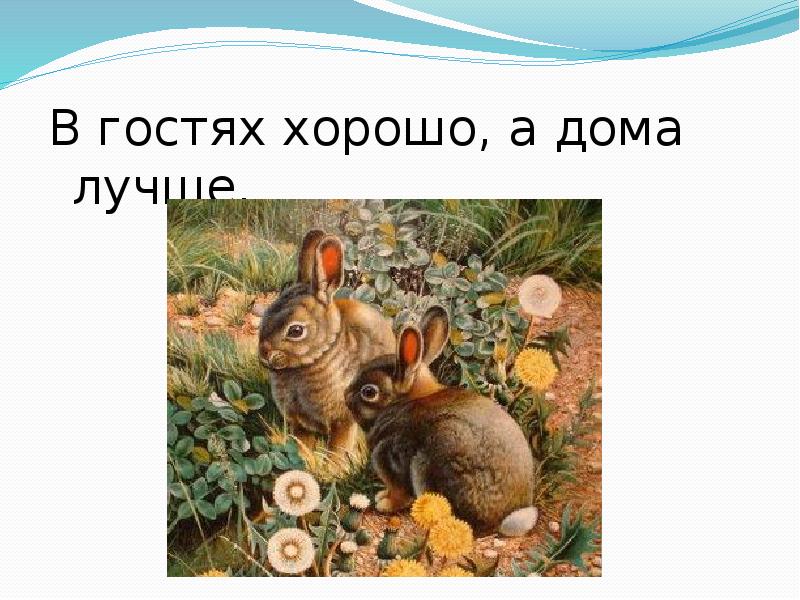 А дома лучше картинки. В гостях хорошо а дома лучше. В гостяхьхорошота дома лучше. В гостях хорошо а дома лучше иллюстрация