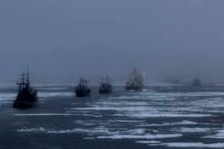 Светит звезда