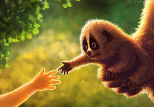 Не скрывайте доброту в шкафах...