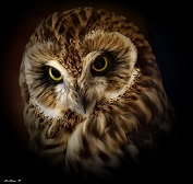 Ангелы слышат мысли...