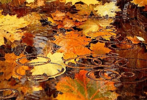 В вышитых люрексом лужах...