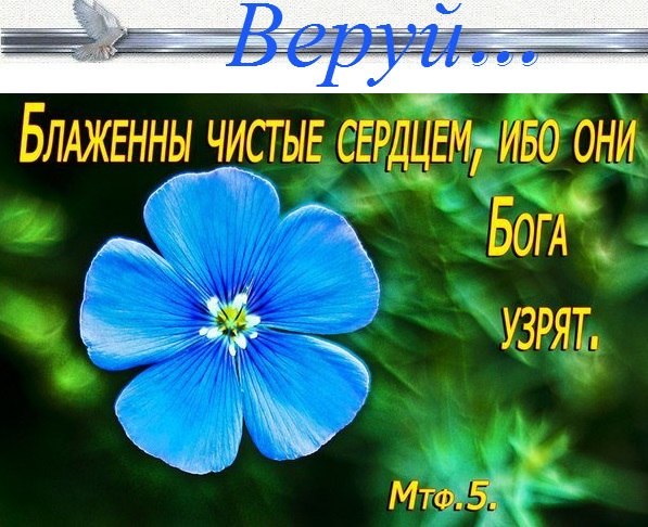 Вся Нежность Неба