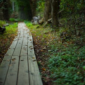 Сплетая слова...