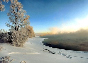 31 января. Триолет