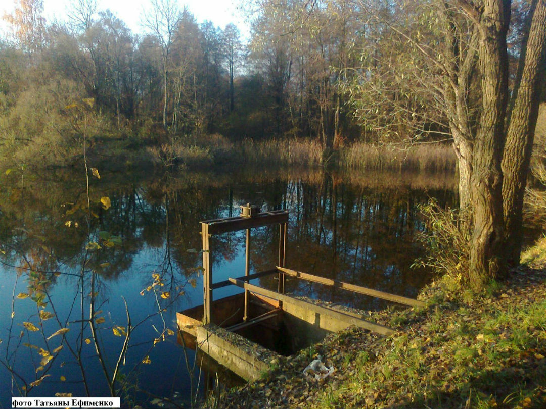 Вода шумела