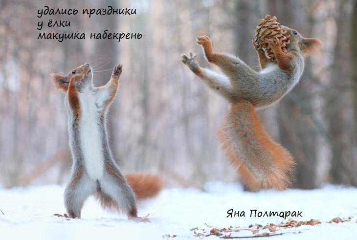 праздники у ёлки - КХ январские мистерии