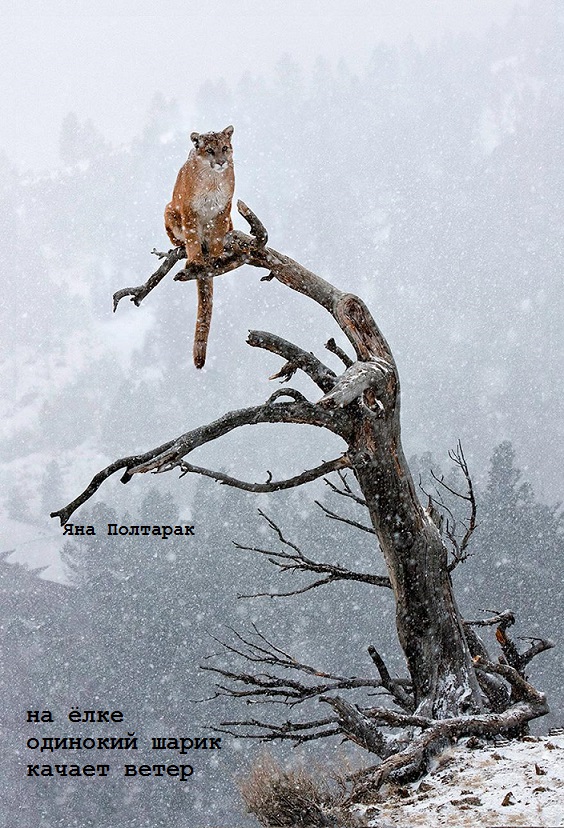 шарик на ёлке - КХ январские мистерии