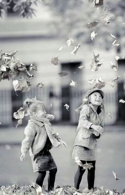 Гомон листвы