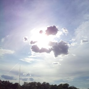 Куда плывут?