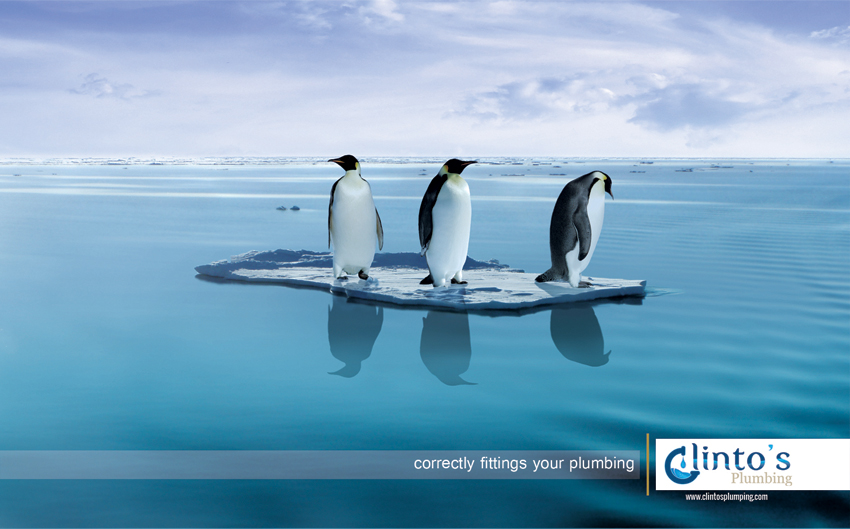 Пингвины на льдине