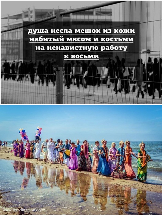 Куда лучше нести мешок с костями