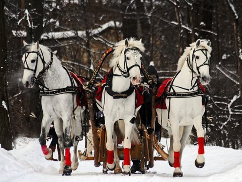 Зимняя дорога