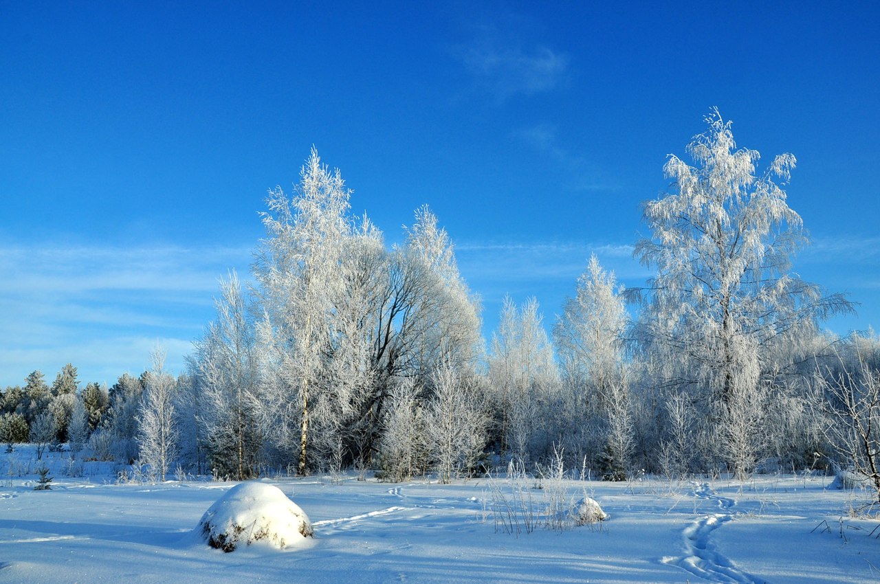 Самая поздняя зима. Зимние картинки на одну сторону. Зимние чудеса Дубна. Картинка зима Сеченово.