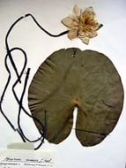 Царапая словом по стенкам души...