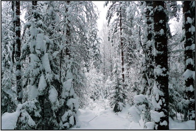 затейница зима