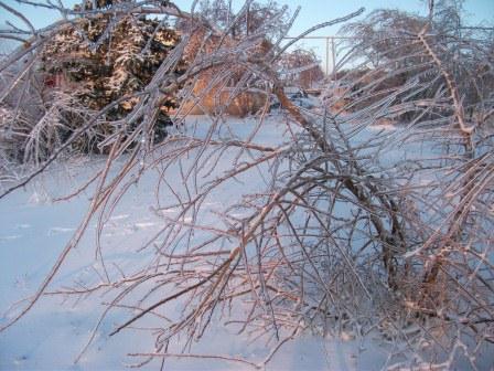 Ледяной дождь