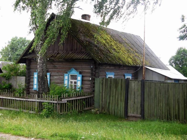 Села гомельской обл. Деревни Белоруссии Гомельская область. Деревенский дом в Беларуси. Деревенский домик в Белоруссии. Дешевый деревенский дом.