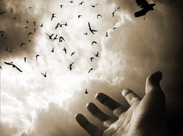 Сгорают звезды