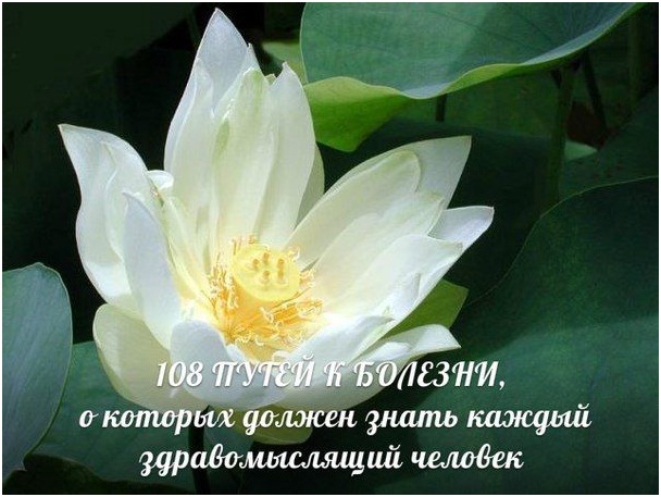 108 путей к болезням