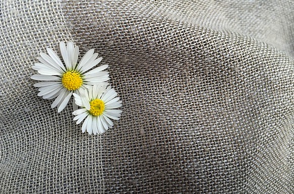 Верьте сердцу