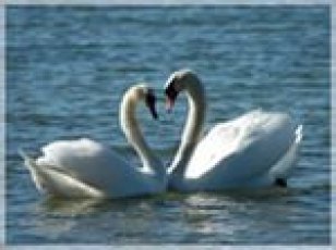 1 Любви душевные порывы