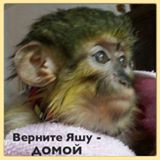 Наш Яша стал звездой экрана!