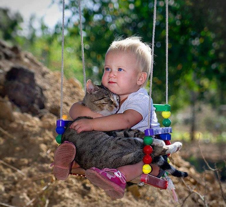 Напутствие кота моему внуку